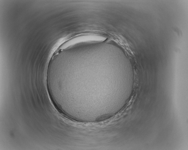 X0000115200003200911181517