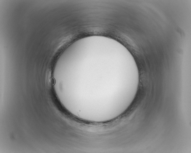 X0000115200024200911181517