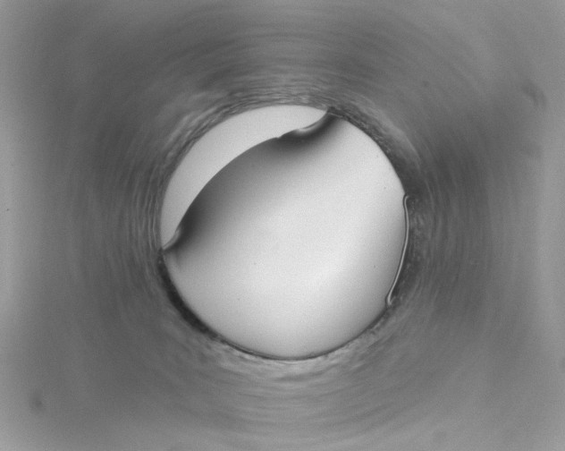 X0000115200035200911181517