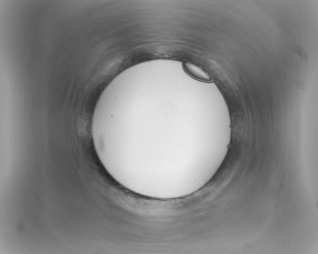 X0000115200044200911181517