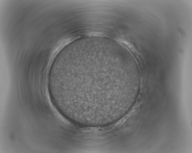 X0000115200049200911181516