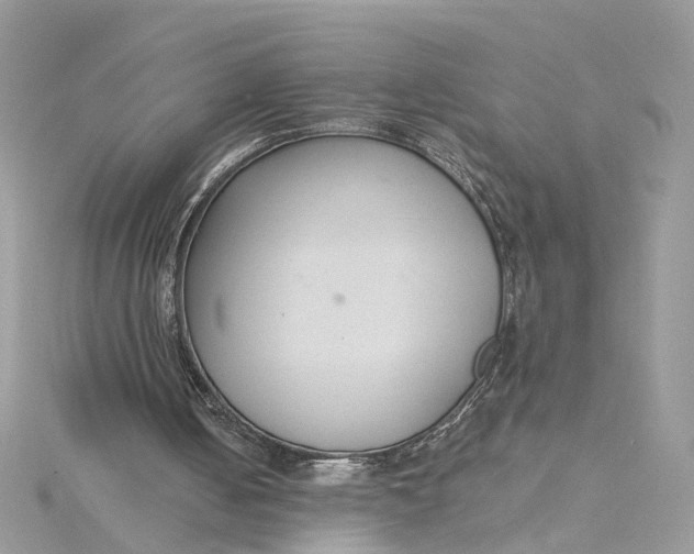 X0000115200050200911181516
