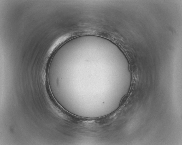 X0000115200054200911181516