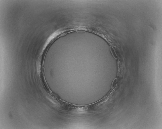 X0000115200056200911181516