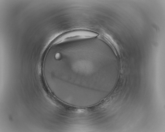 X0000115200060200911181516