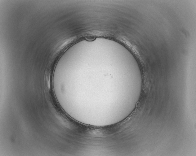 X0000115200062200911181516