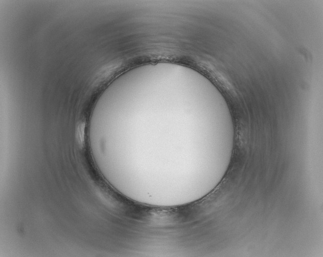 X0000115200070200911181516