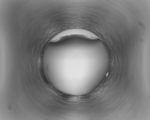 X0000115200084200911181517