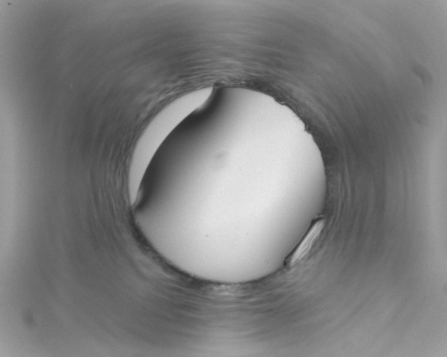 X0000115200088200911181517