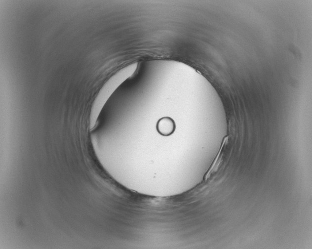 X0000115200092200911181517