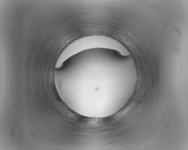X0000115200096200911181517