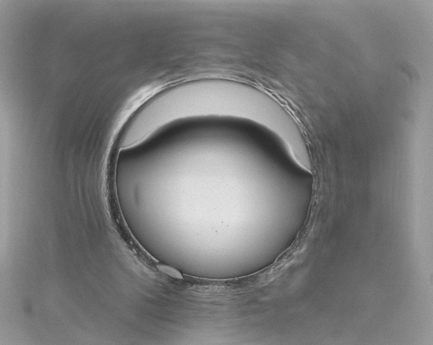 X0000115200104200911181516