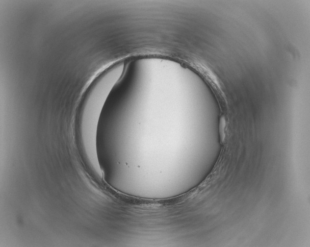 X0000115200108200911181516