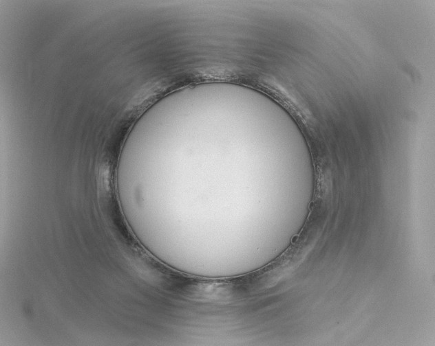 X0000115200117200911181516