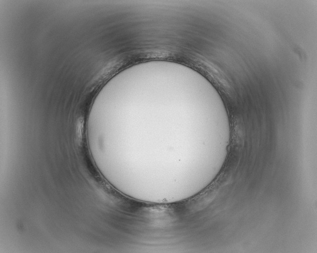 X0000115200118200911181516
