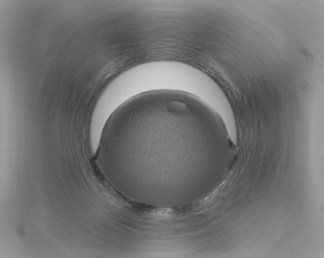X0000115200124200911181516