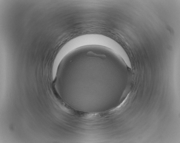 X0000115200136200911181516