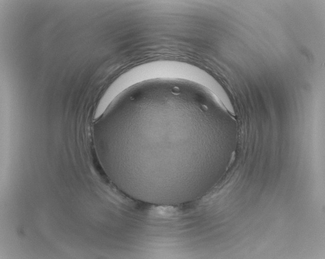 X0000115200137200911181516