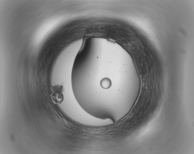 X0000115200146200911181515