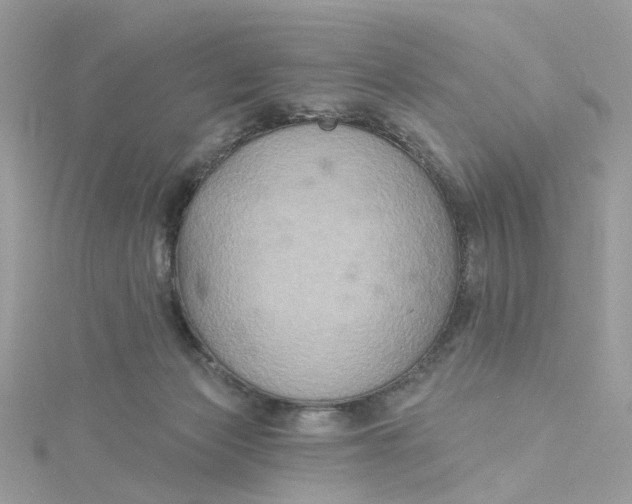 X0000115200173200911181515