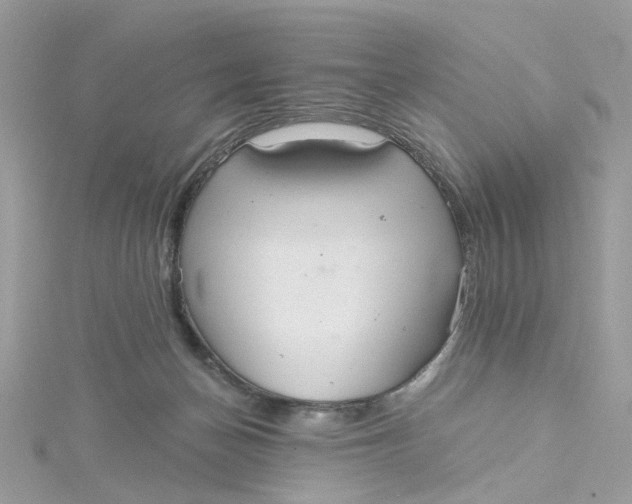 X0000115200174200911181515