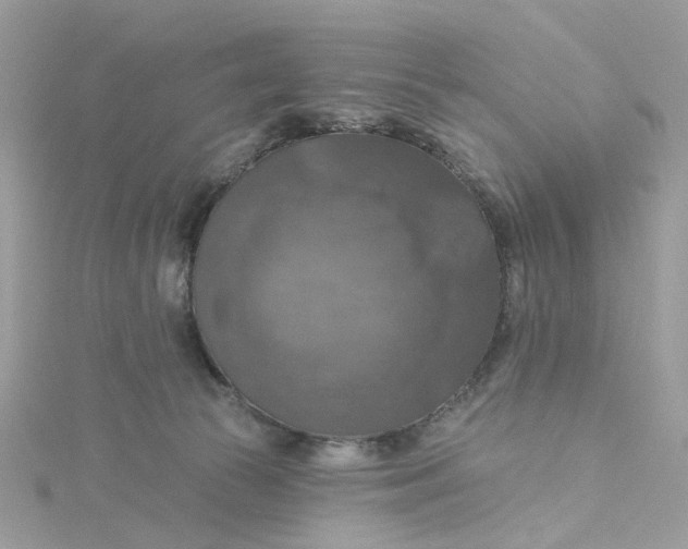 X0000115200177200911181515