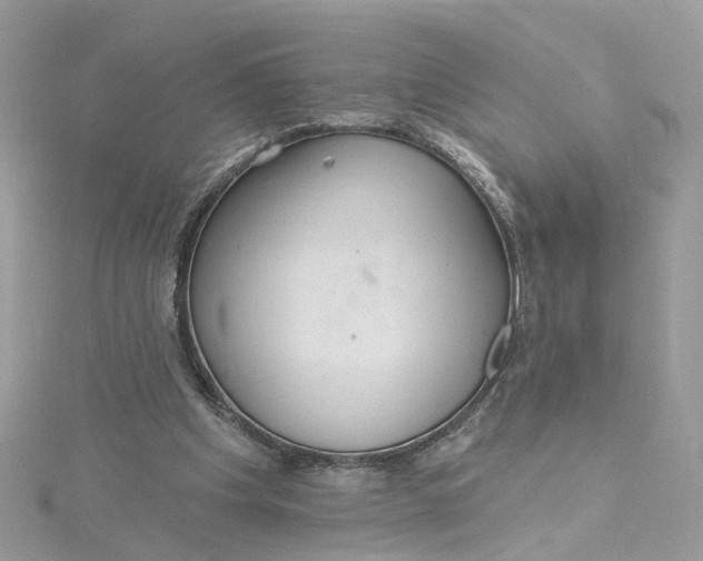 X0000115200201200911181515