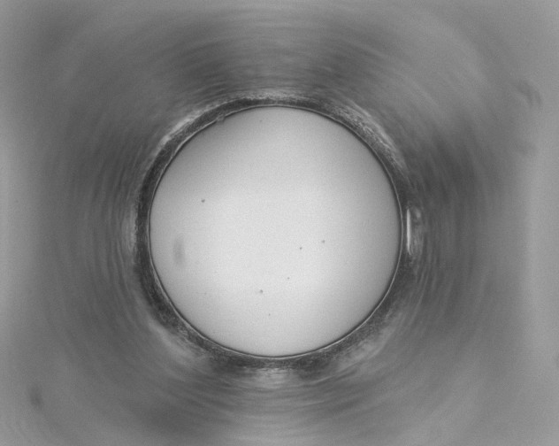 X0000115200204200911181515