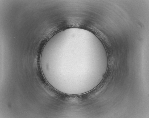 X0000115200209200911181515