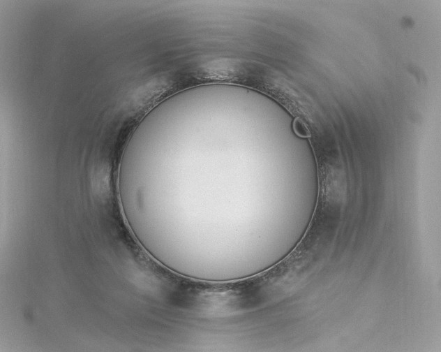 X0000115200213200911181515