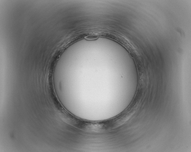 X0000115200217200911181515