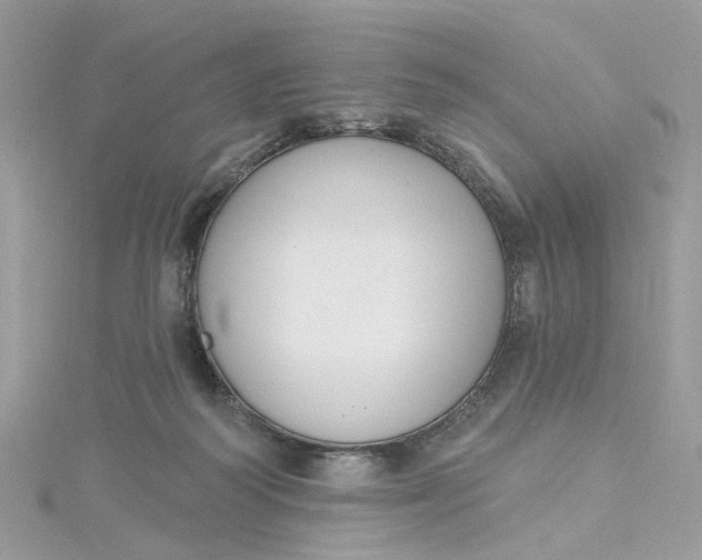 X0000115200218200911181515