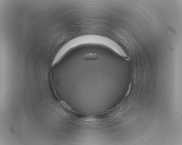 X0000115200219200911181515