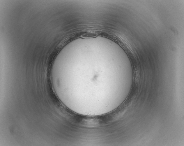 X0000115200221200911181515