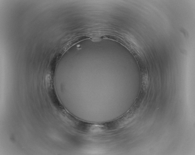 X0000115200222200911181515