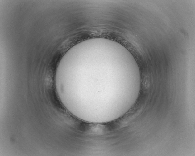 X0000115200226200911181514