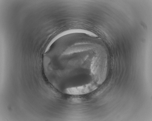 X0000115200228200911181514
