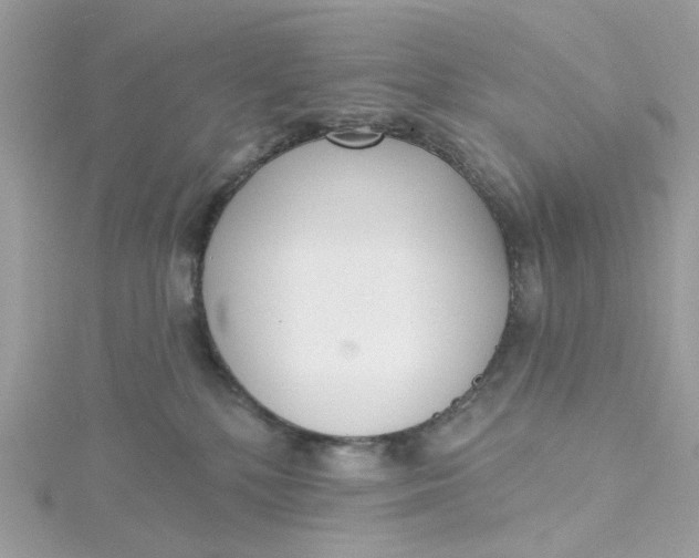 X0000115200232200911181514