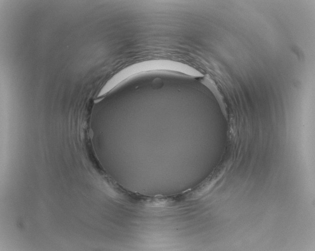 X0000115200235200911181514