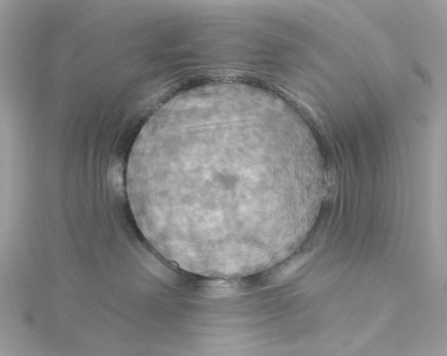 X0000115200238200911181514