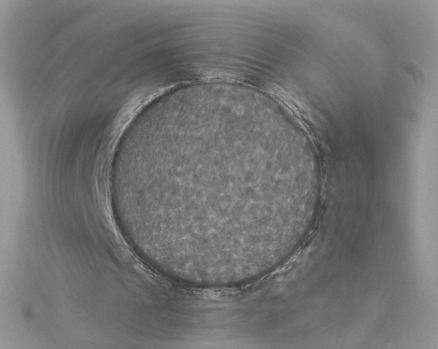 X0000115200241200911181514