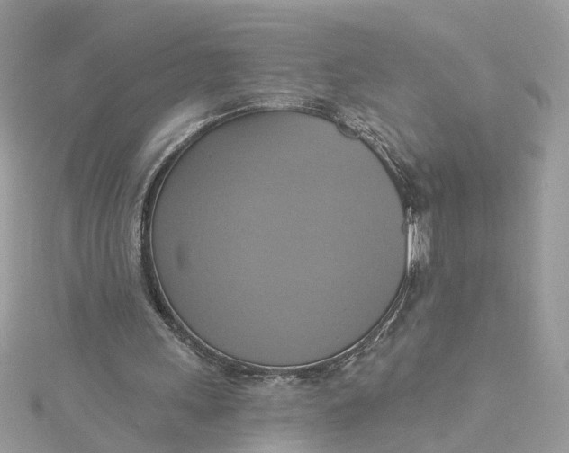 X0000115200243200911181514