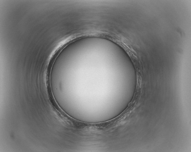 X0000115200244200911181514