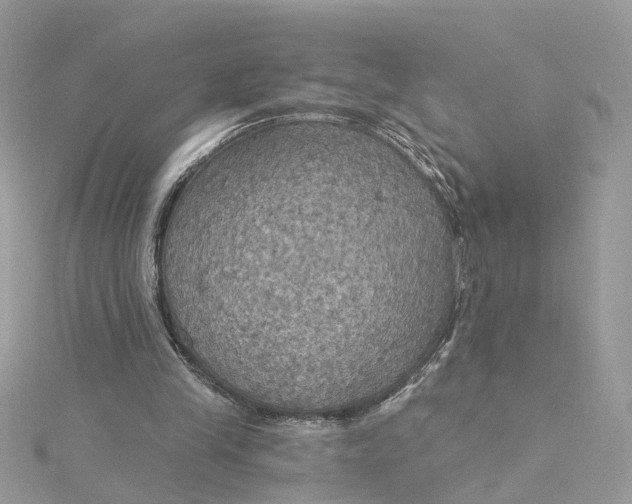 X0000115200245200911181514
