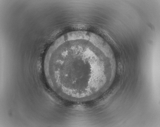 X0000115200259200911181514