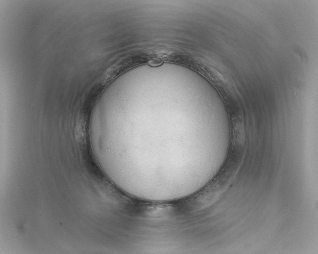 X0000115200274200911181514