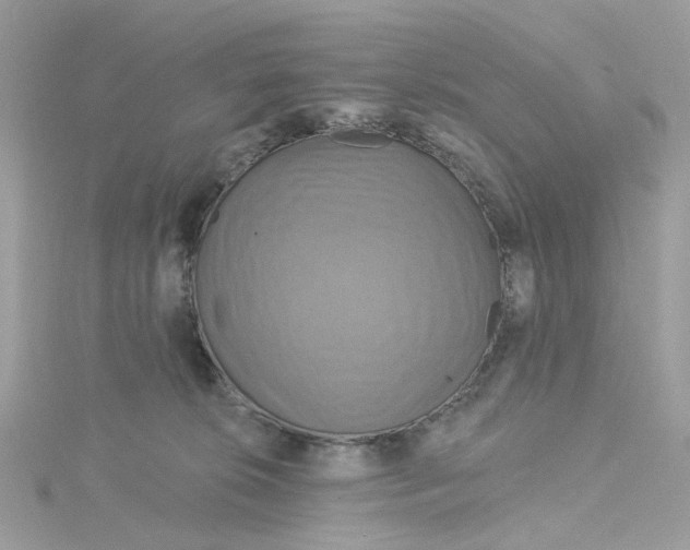 X0000115200276200911181514