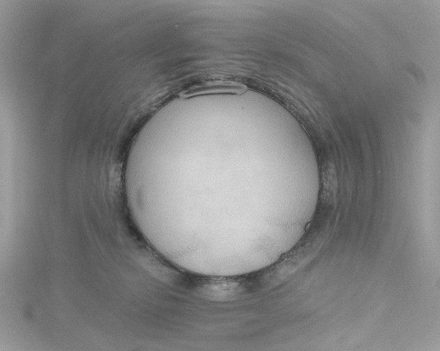 X0000115200278200911181514