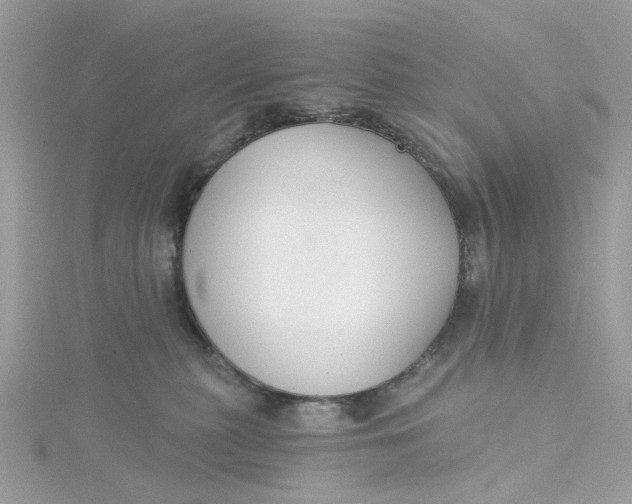X0000115200279200911181514