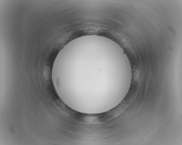 X0000115200283200911181514